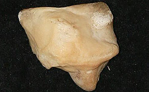 August 2022 Artifact of the Month Thumbnail Image — Seminole Tribal Historic Preservation Office